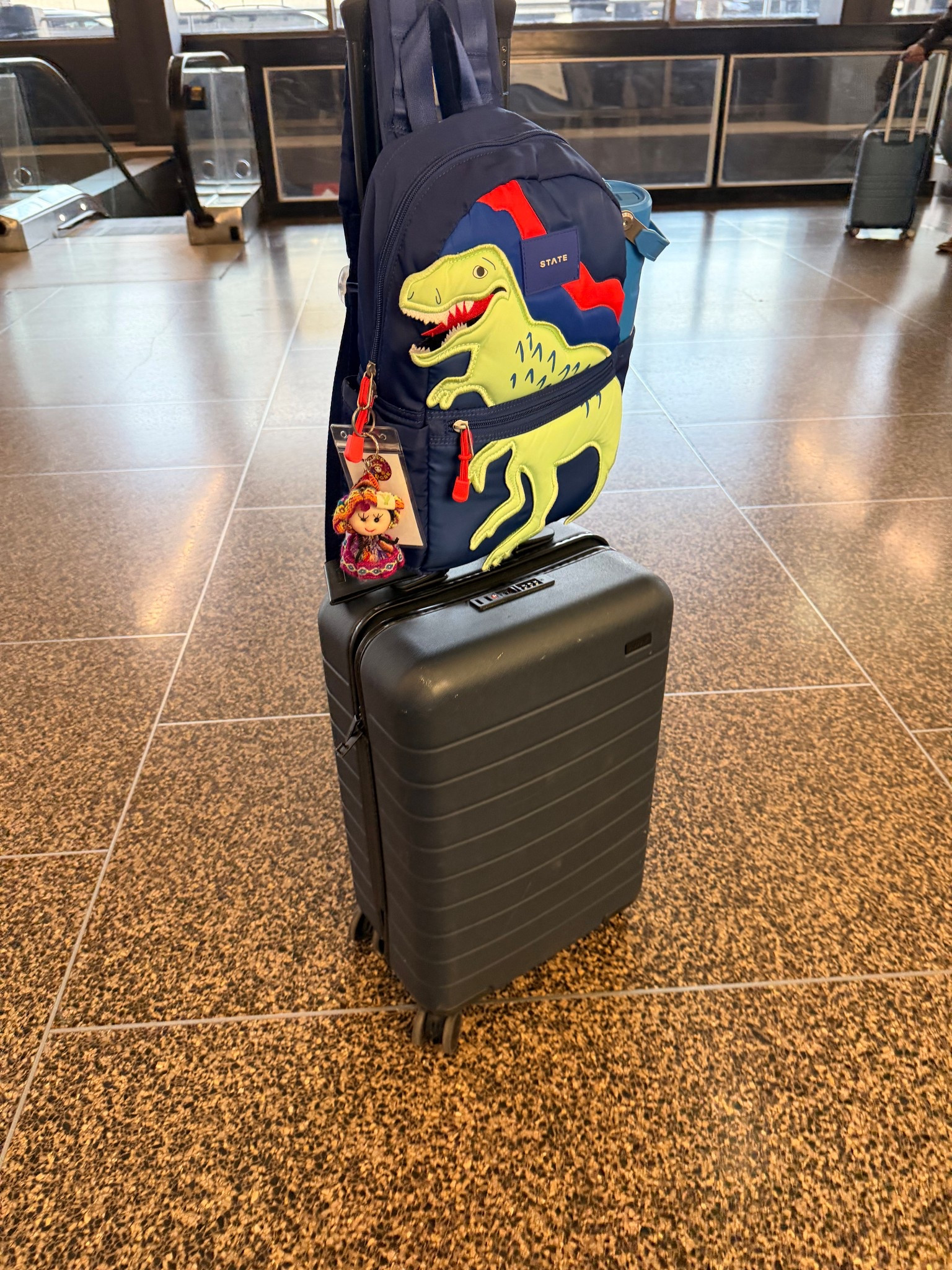 Best travel duo for kids! #luggage #travel #travelwithkids 

#LTKKids #LTKTravel