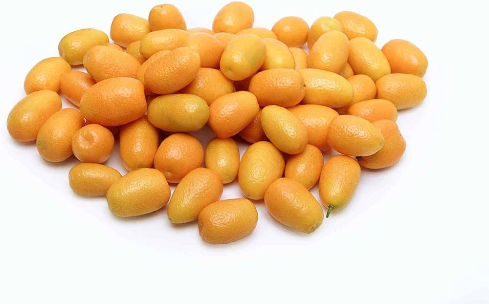 Melissa's Fresh Kumquats, (2 lb) | Amazon (US)