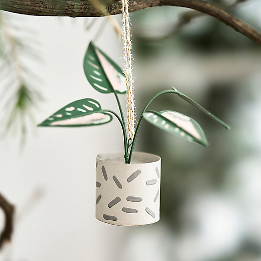 Philodendron Ornament | Terrain