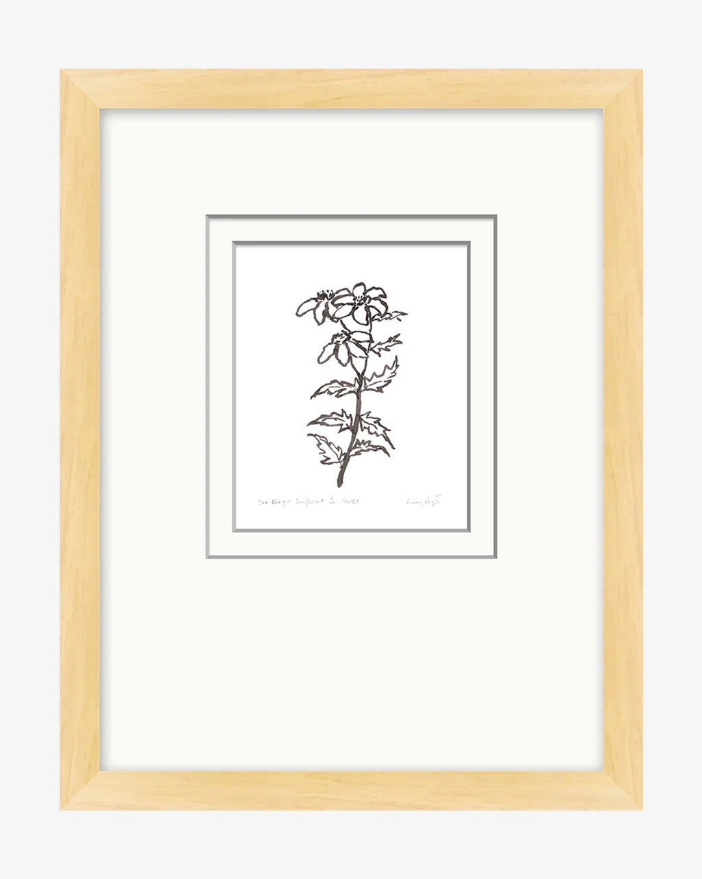 San Diego Sunflower | McGee & Co.