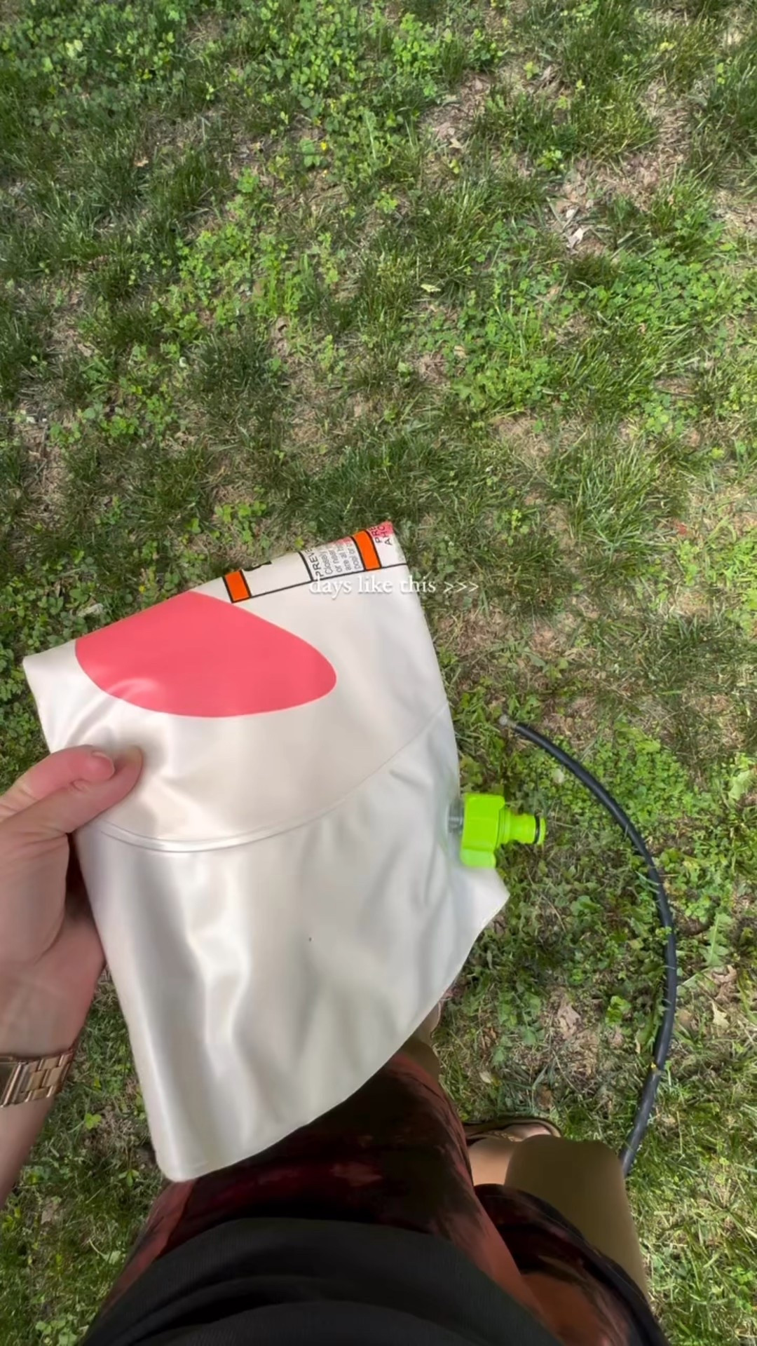 Backyard summer fun! 