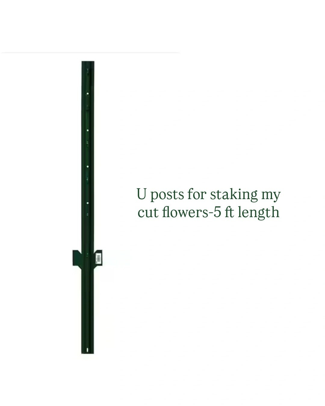 Cut flower gardening, u posts for staking or fencing gardens 

