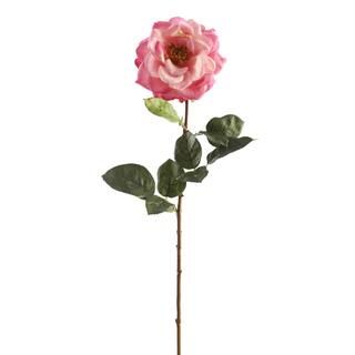 Garden Bloom Orlane Rose Stem Ashland™ | Michaels Stores