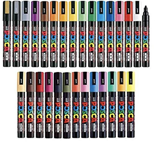 Posca Full Set of 29 Acrylic Paint Pens with Reversible Medium Point Pen Tips, Posca Pens are Acr... | Amazon (US)