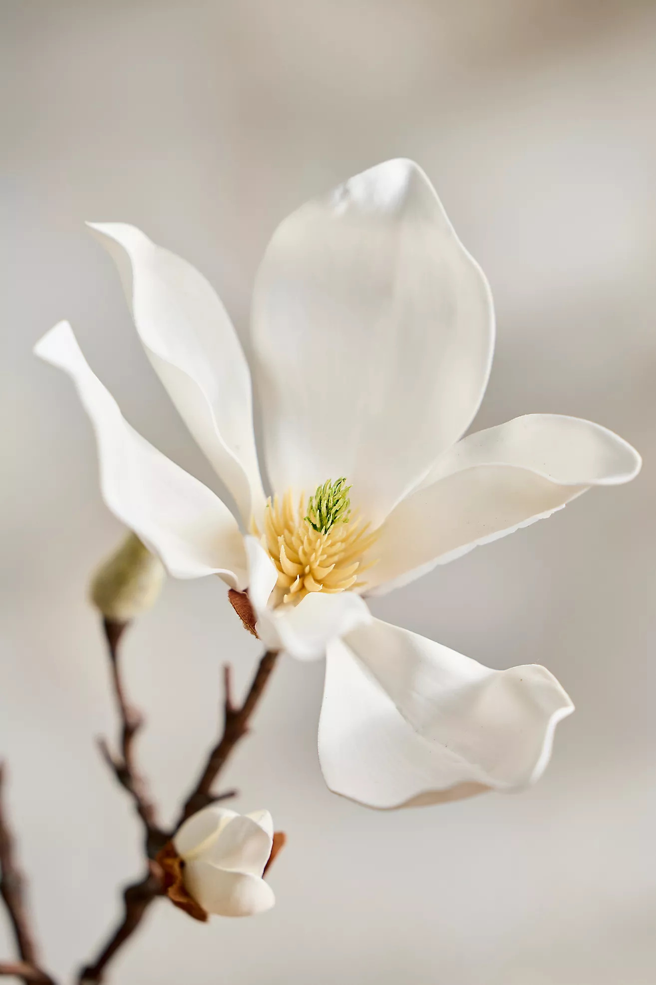 Faux Magnolia Spray | Terrain