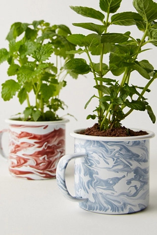Altered Herb Mug Grow Kit | Free People (Global - UK&FR Excluded)
