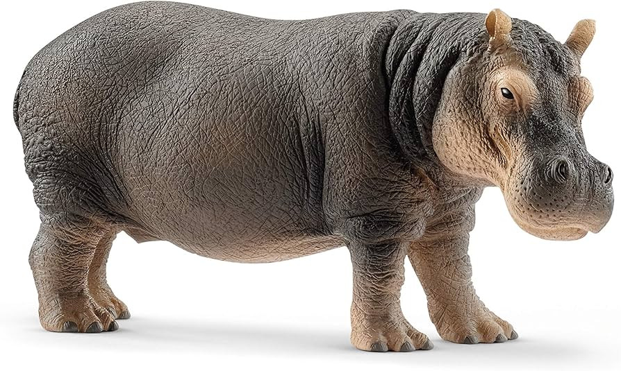 Schleich Wild Life Realistic Detailed Hippopotamus Figurine - Wild Hippo Figurine Toy for Play an... | Amazon (US)