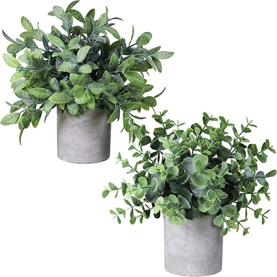 Winlyn Set of 2 Faux Mini Potted Plants Artificial Eucalyptus Boxwood Plants in Pots Fake Greener... | Amazon (US)