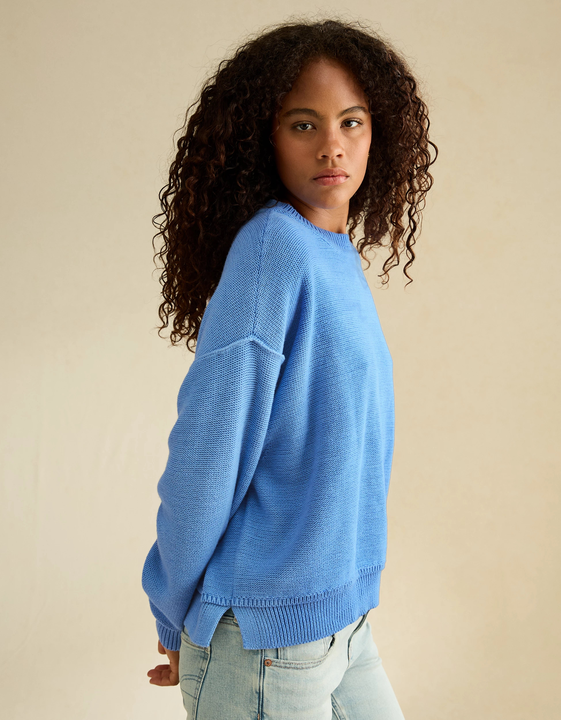 AE Oversized Crew Neck Sweater | American Eagle Outfitters (US & CA)