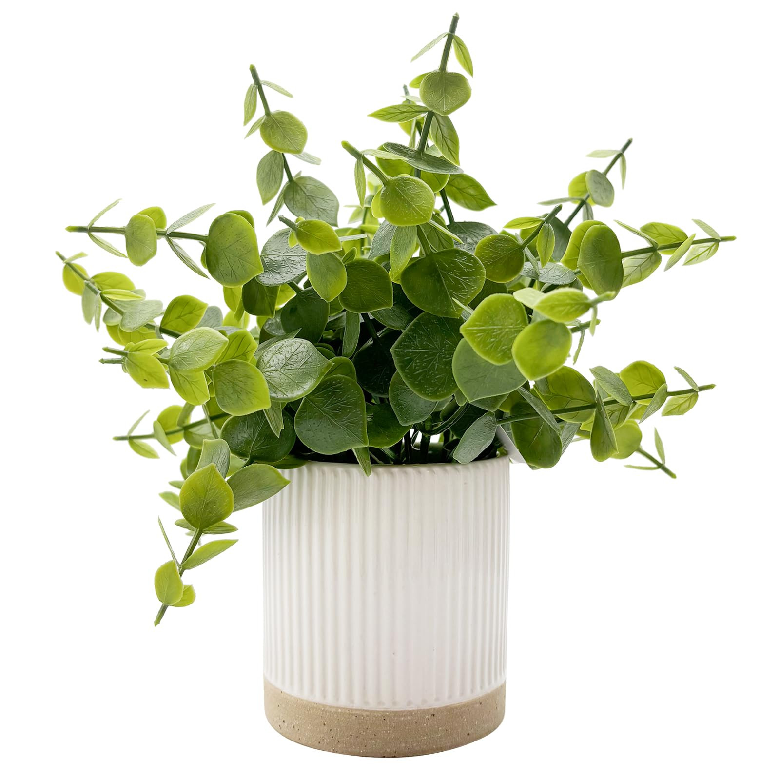 Small Fake Plants Eucalyptus Potted 9.5" Indoor Fake Plants Small Artificial Eucalyptus with Cera... | Amazon (US)