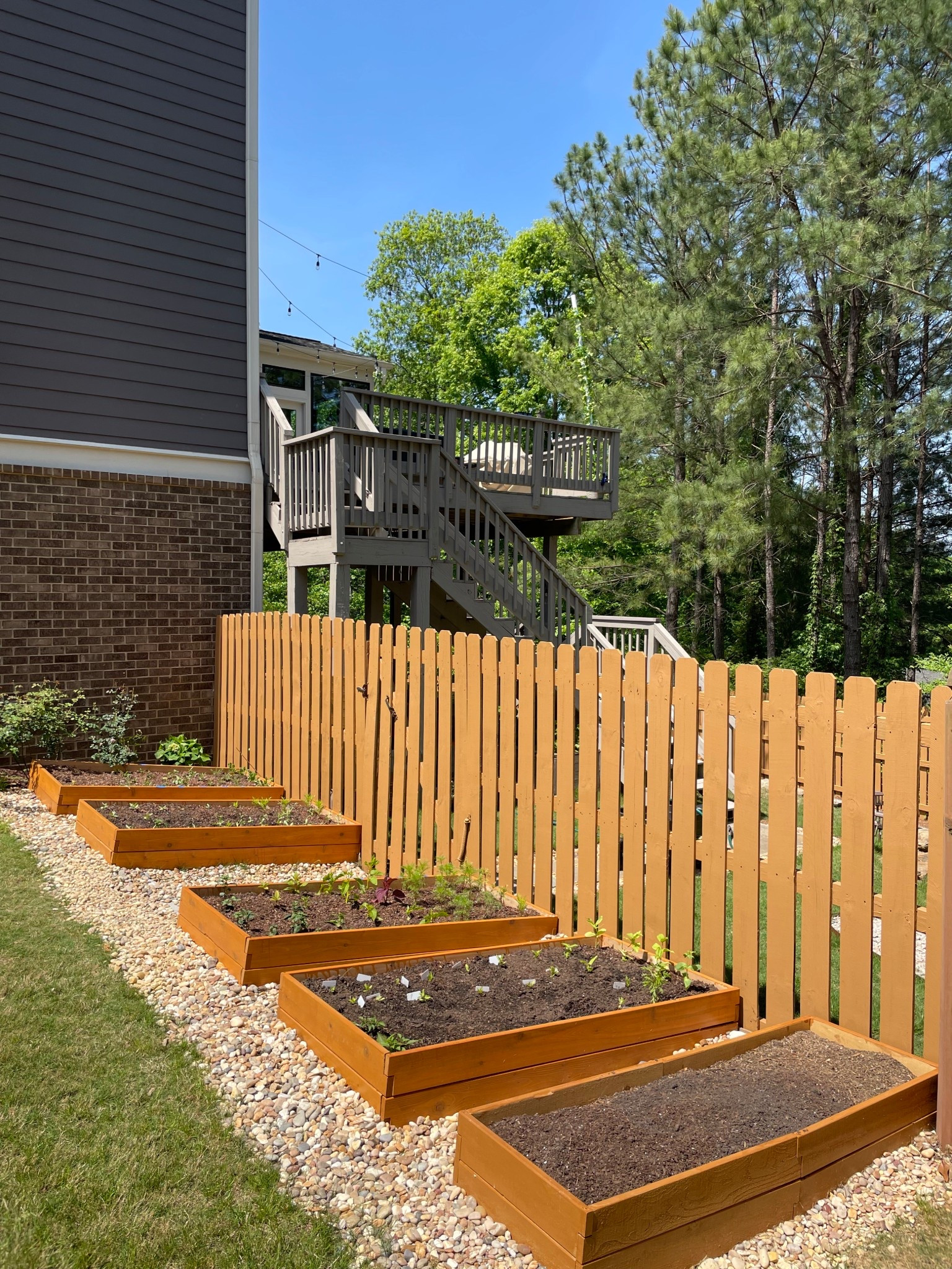 My cut flower garden must-haves!

Gardening, Spring, Flowers, Outdoors, Raised Beds, Wellness, Garden Planters


#LTKSpringSale #LTKHome