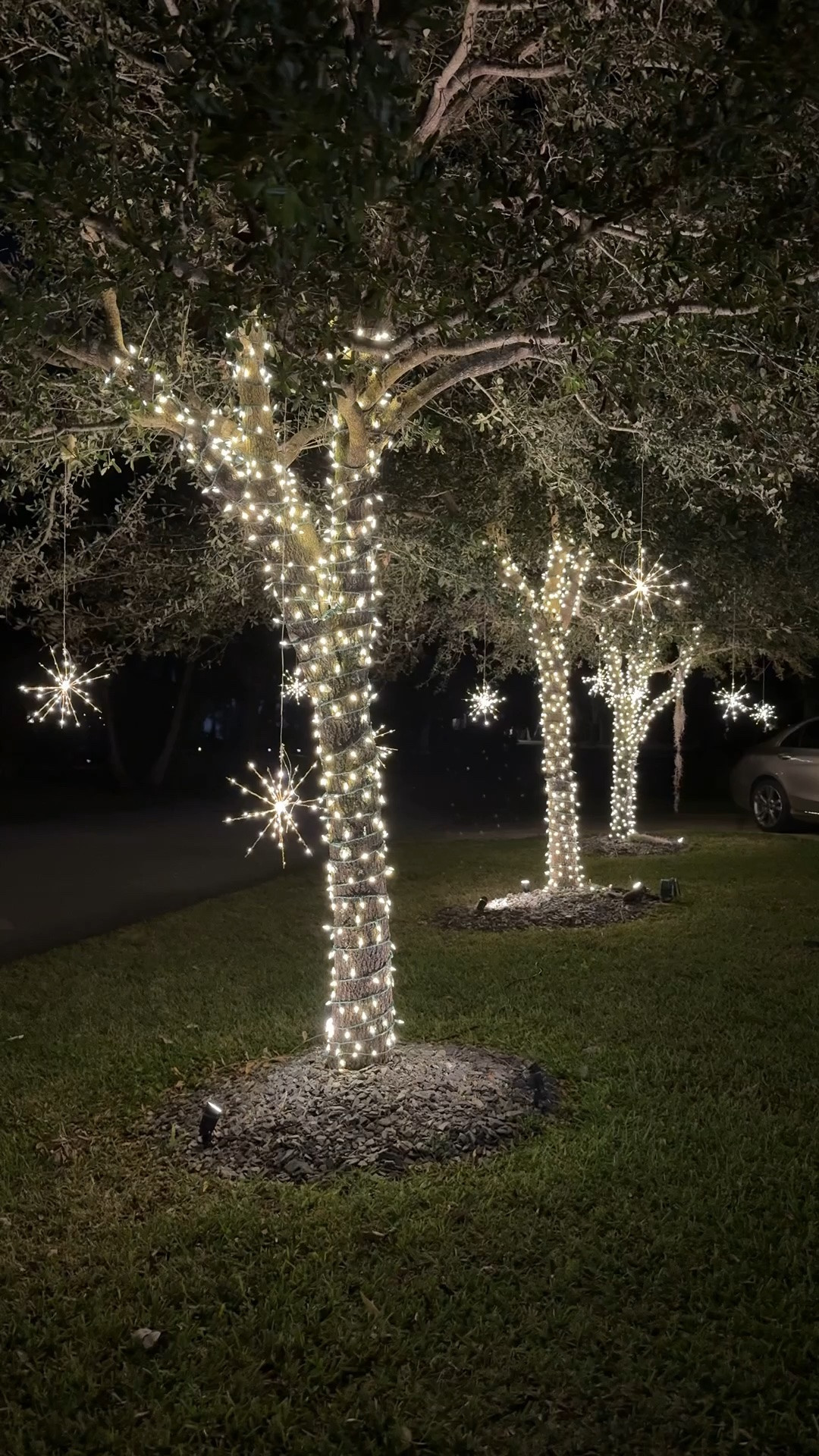My twinkle starburst are back this year ✨ these are so magical and we use them every year 🤎 make sure you take out the batteries to store them!

#starburst #christmaslights #christmasdecor #christmasexterior #home

#LTKSeasonal #LTKHome #LTKSaleAlert