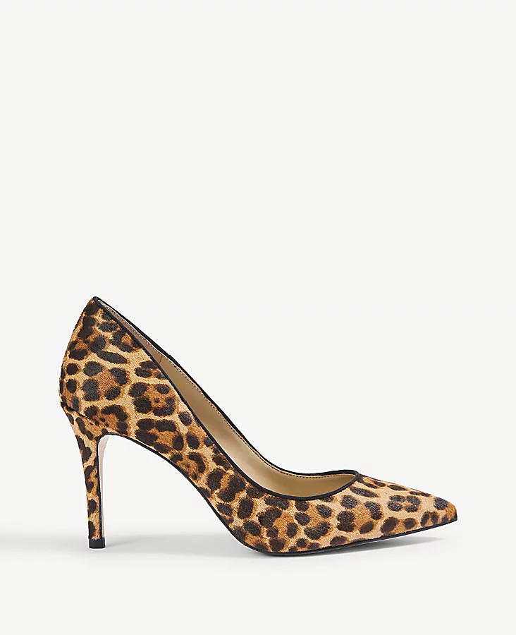 >Mila Leopard Print Haircalf Pumps | Ann Taylor (US)