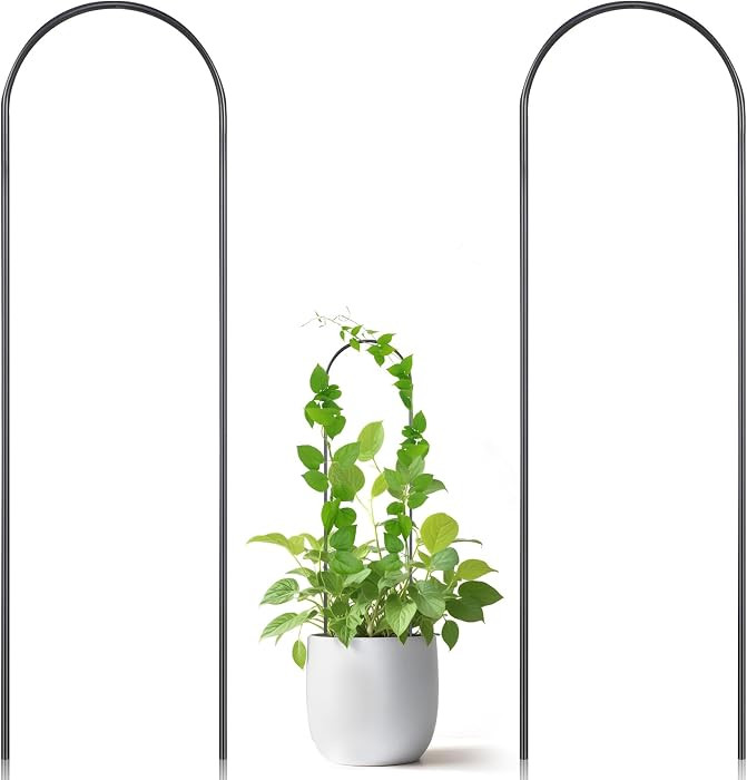 Oruola 2 Pack Hoya Trellis, Plant Trellis for Pots,U-Shaped Small Trellis for Potted Plants,13.4 ... | Amazon (US)