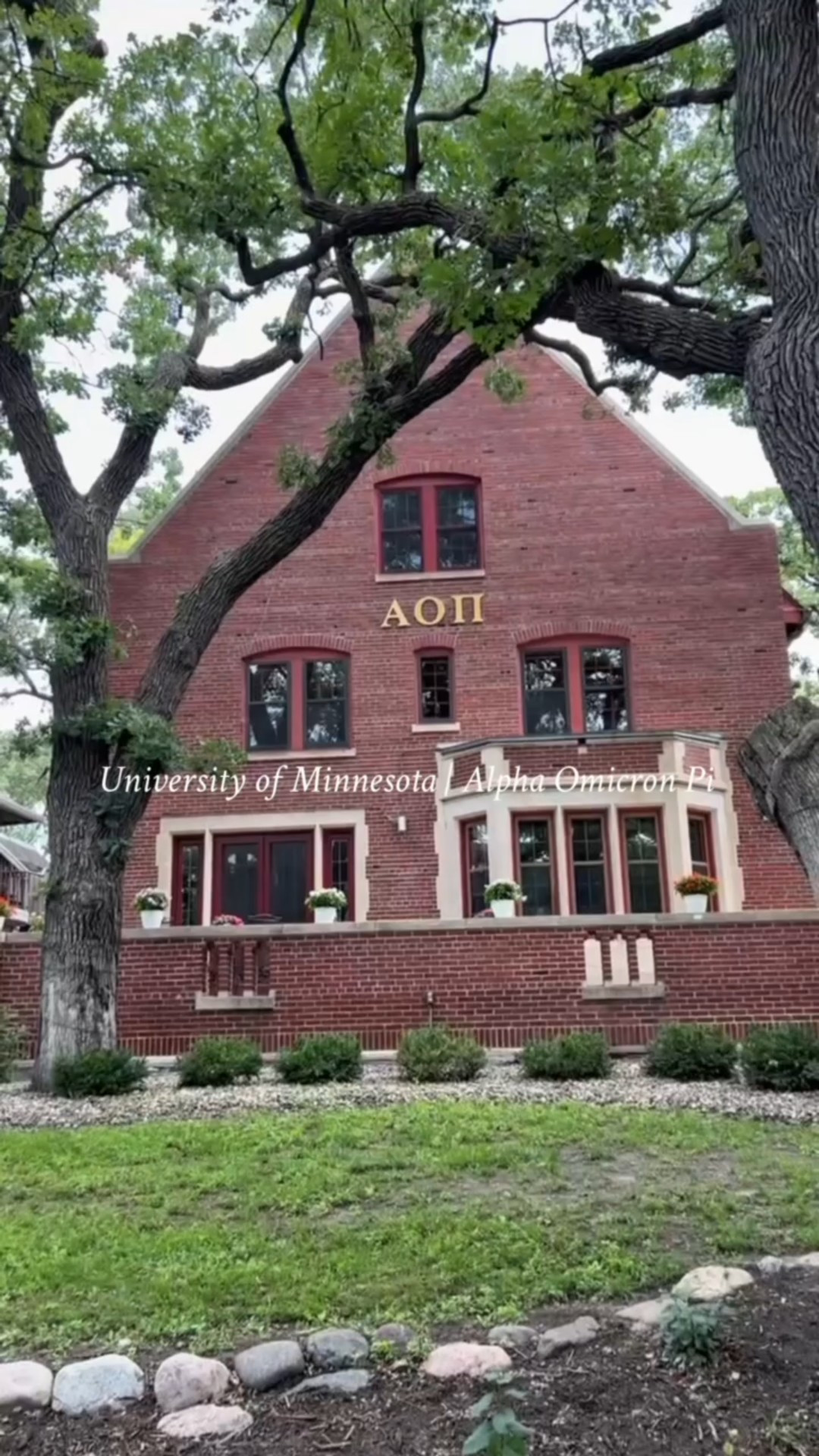 From basic ➡️ bold for AOII Minnesota 💗

#LTKStyleTip #LTKHome