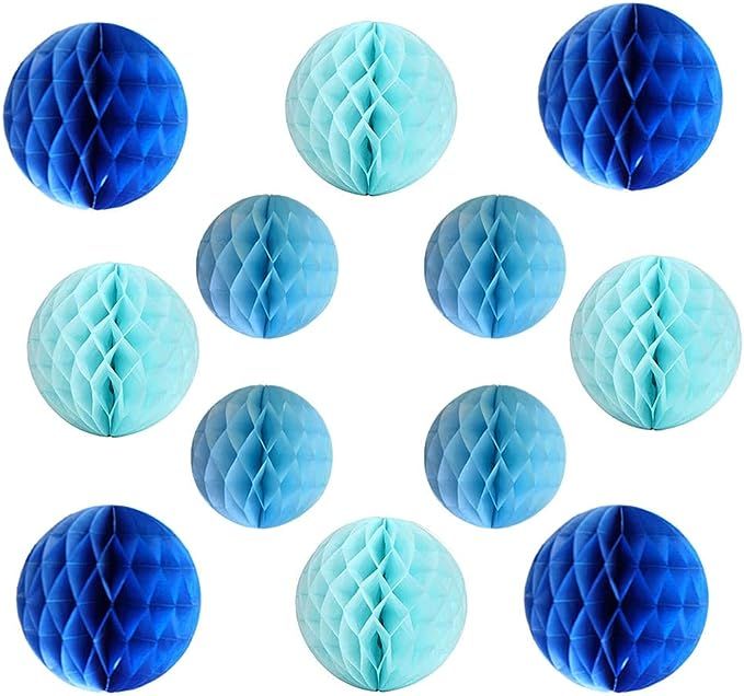 YLY's love 12pcs-6inch,8inch,10inch Pom Poms Tissue Paper Honeycomb Balls Flower Ball Wall Decor ... | Amazon (US)