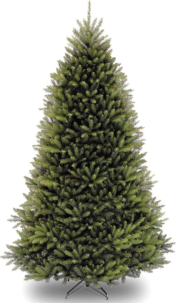 National Tree Company Artificial Full Christmas Tree, Green, Dunhill Fir, Includes Stand, 10 Feet | Amazon (US)