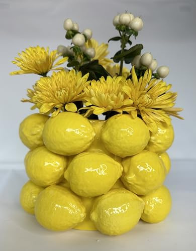 Lemon Vase -Cheery Yellow Ceramic French/Mediterranean Style Unique Vase with 3D Lemon Design- Le... | Amazon (US)