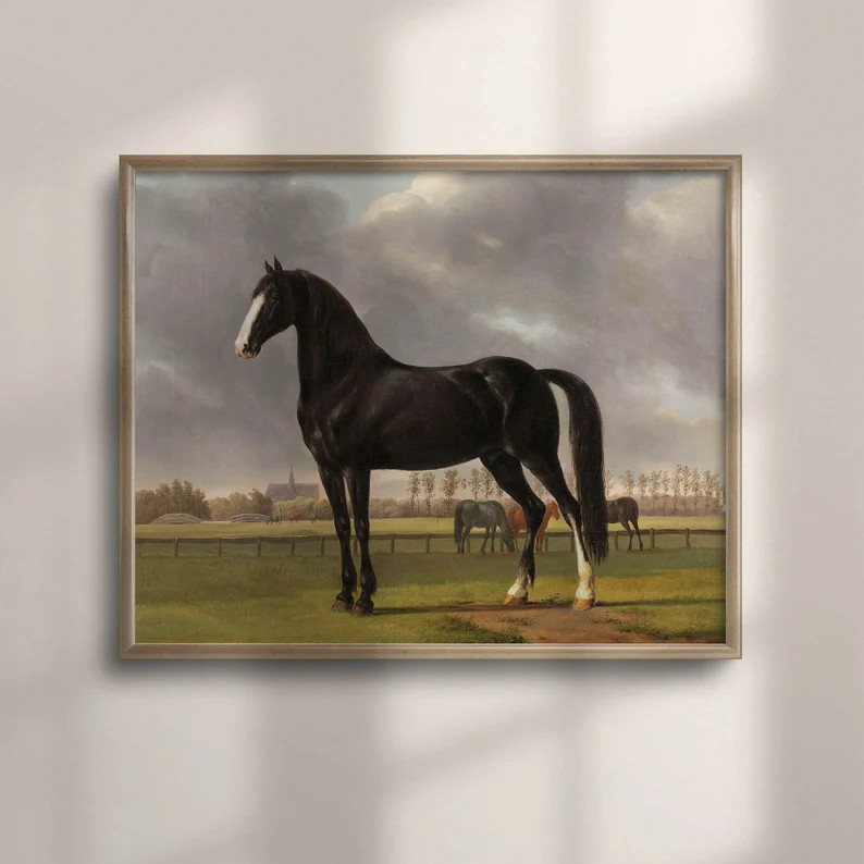 Vintage Black Horse Art, Fine Art Prints, Original Animal Art, Farmhouse Decor, Mailed Print, Whi... | Etsy (US)