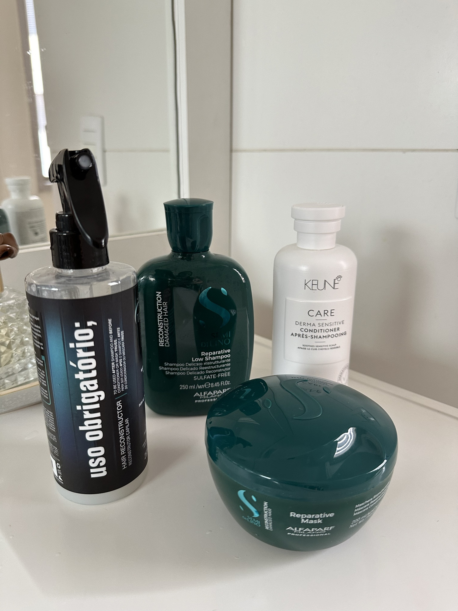 Produtos de cabelo do momento 

#LTKbrasil #LTKbeauty