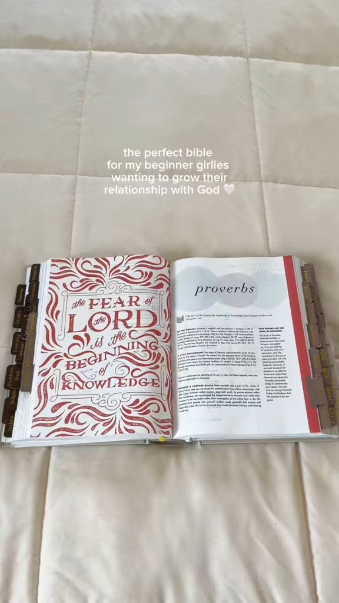 10/10 recommend this Bible for the girls 🤍

#LTKGiftGuide