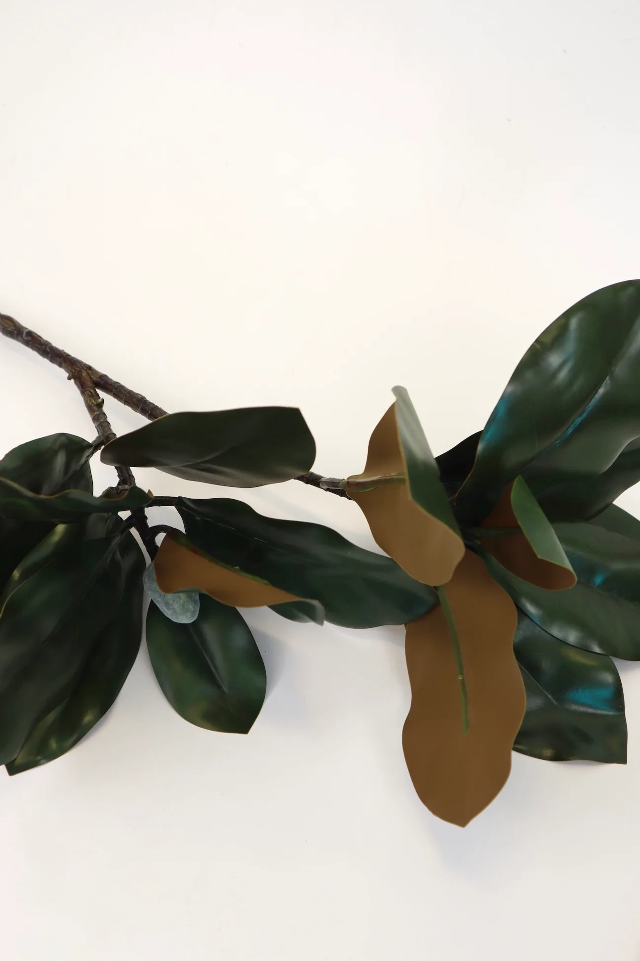 Magnolia Stem - 30" | THELIFESTYLEDCO