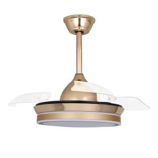 36 in. LED French Gold Retractable Ceiling Fan with Light and Remote Control | The Home Depot