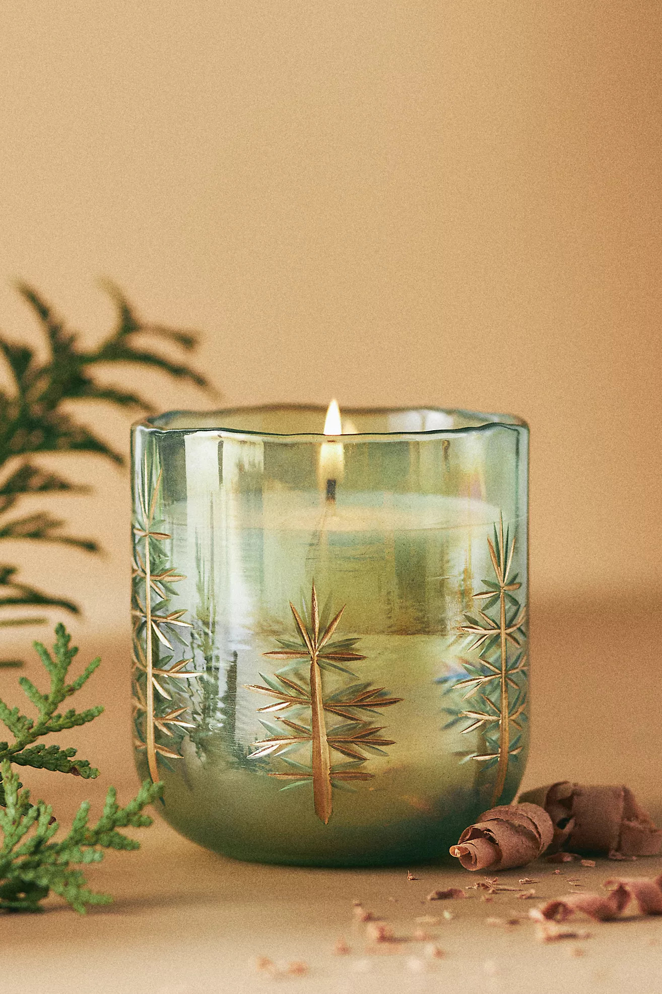 Gilded Evergreen Woody Fresh Balsam & Cedarwood Glass Candle | Anthropologie (US)