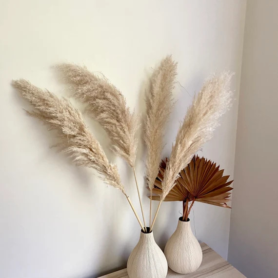 4 Short Plume Lush Extra Fluffy Pampas  LIMITED STOCK SPECIAL | Etsy | Etsy (US)