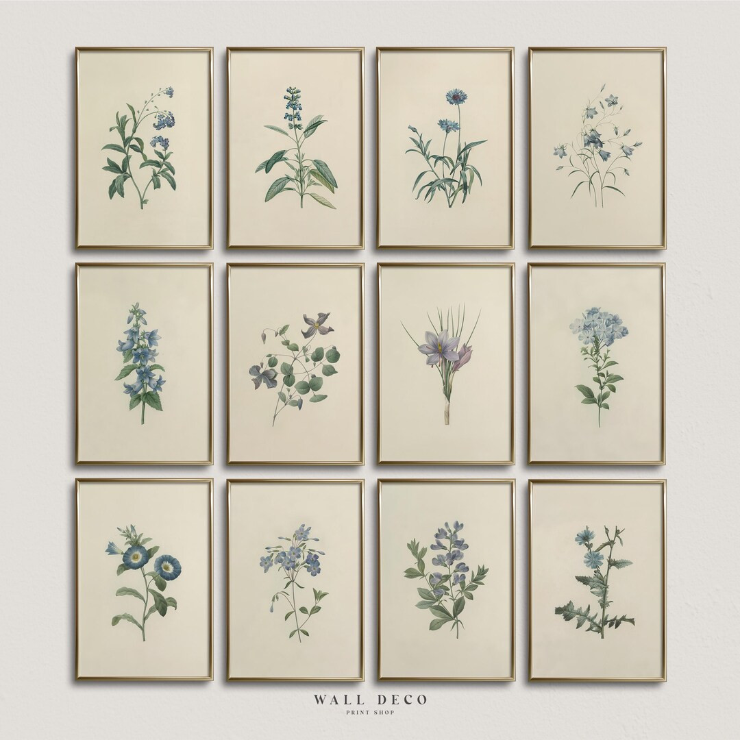 Vintage Blue Botanical Prints Set: French Country Gallery Wall Art (Digital Printable) | Etsy (US)