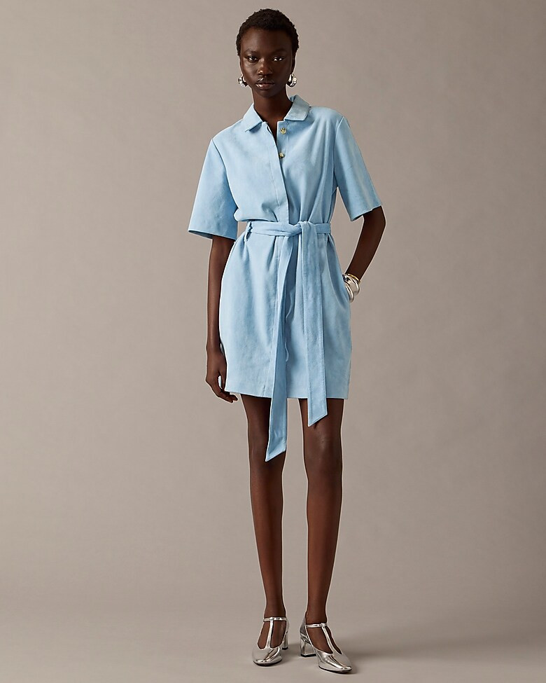 Collection button-front suede dress | J. Crew US