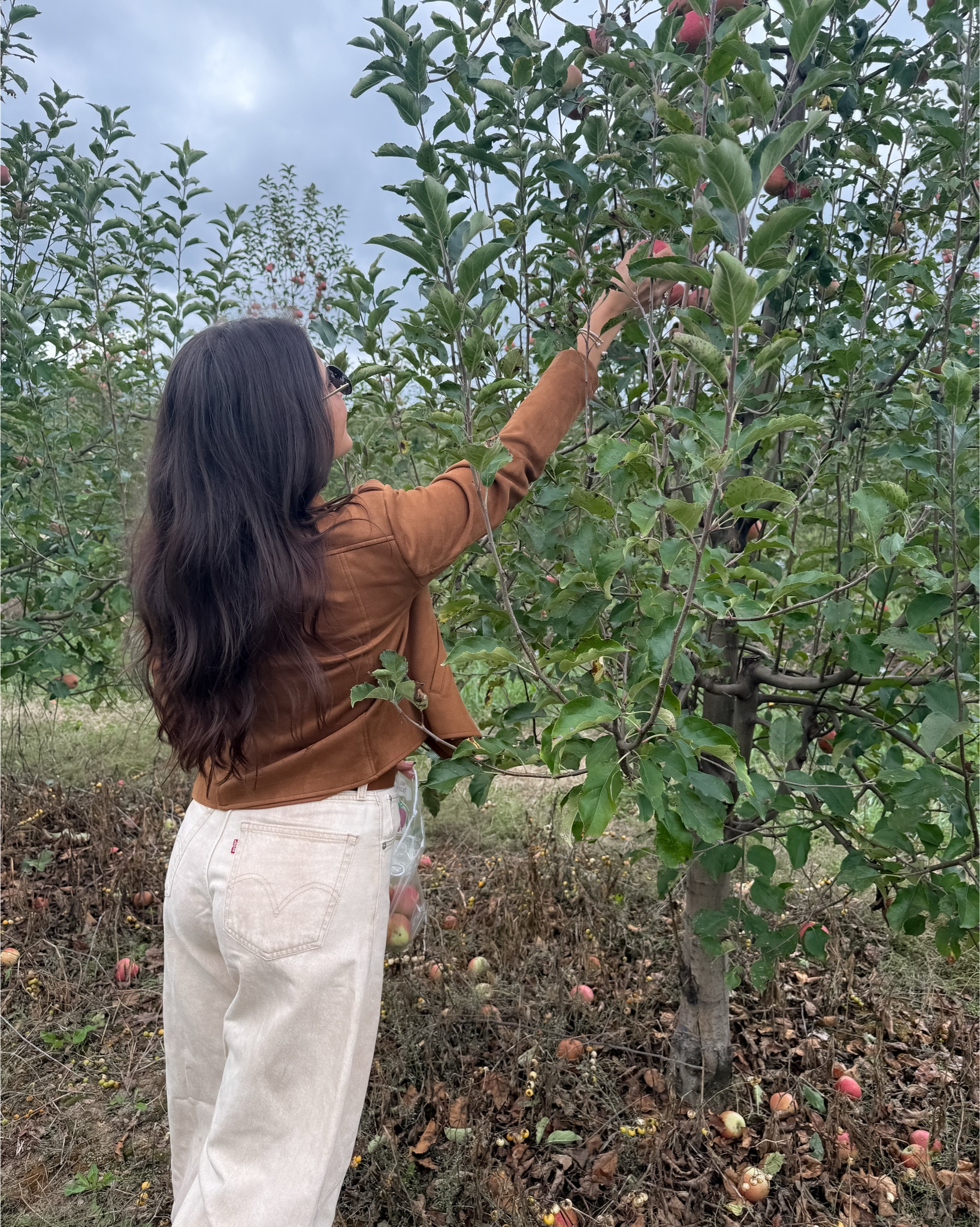 Autumn style 🤎

Pants are Levi’s
Booties are Allegra James
Bodysuit is Abercrombie & Fitch
Jacket is Jason Wu
Clutch is Target

Apple orchard outfit, barrel jeans, suede bag, Matching set, waistcoat, workwear, houndstooth, Denim jacket, denim skirt, jeanerica, Fall, quilted coat, belt, Michael kors jacket, polo hat, baseball hat, belt, Ralph Lauren, vest, Thanksgiving outfit, men’s fashion, cardigan, jeans, denim, vans, Fall fashion, style, thanksgiving, outfit inspo, trendy, Tory Burch, turtleneck, ribbed top, long sleeve top, leather pants, tan pants, brown pants, straight pants, revolve, Bardot, gap, lulus, neiman Marcus, Nordstrom, earrings, hoops, ring, belt, lipstick, makeup, charlotte tilbury, commando, j.crew, express, old navy, Anthropologie, madewell, tuckernuck, coach, Ralph Lauren, dinner, Sunday, Abercrombie and fitch, brunch, holiday style, classy, classic, trendy, new arrivals, under 200, under 100, under 50, cyber week, sale alert, holiday outfit, leather pants, plaid blazer, booties, madewell, j.crew, revolve, Amazon, Sam Edelman, old navy, Anthropologie, Nordstrom rack, Talbots, Allegra James, bodysuit, thanksgiving, Black Friday, sale, sweet Caroline collection

#LTKstyletip #LTKHoliday 

#LTKStyleTip #LTKSeasonal #LTKFindsUnder100