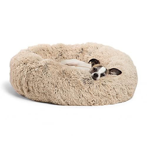 Best Friends by Sheri The Original Calming Donut Cat and Dog Bed in Shag and Lux Fur, Machine Was... | Amazon (US)