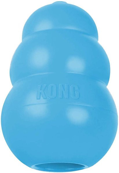 KONG Puppy Chew Dog Toy, Medium, Color Varies - Chewy.com | Chewy.com