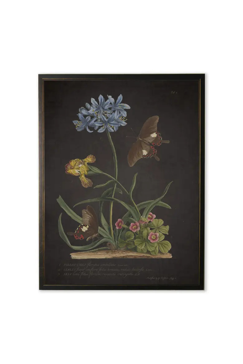 Antique Curiosities Blue Flower with Black Butterflies Print in Copper and Black Frame | Nordstro... | Nordstrom