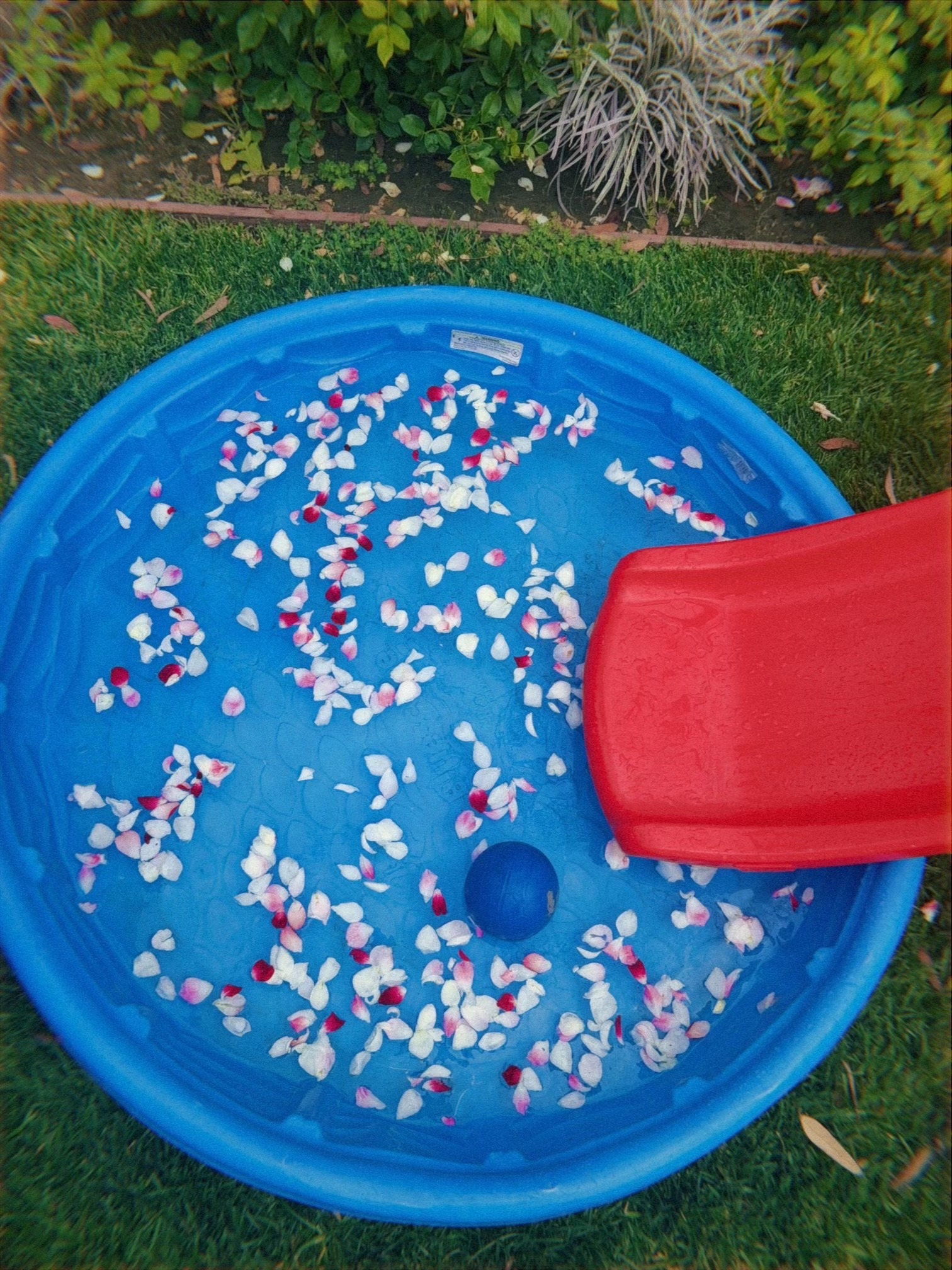 Kiddie pool and slide

#LTKmomlife #LTKdayinmylife #LTKSwim