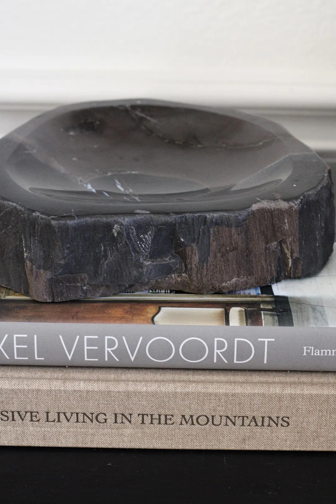 Petrified Wood Bowl | Etsy (US)