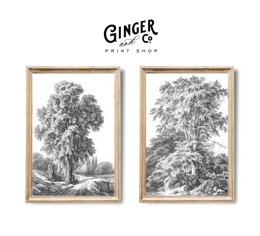 Set of Two Tree Sketches PRINTABLE DIGITAL DOWNLOAD -- 19th Century Vintage Prints | Etsy (US)