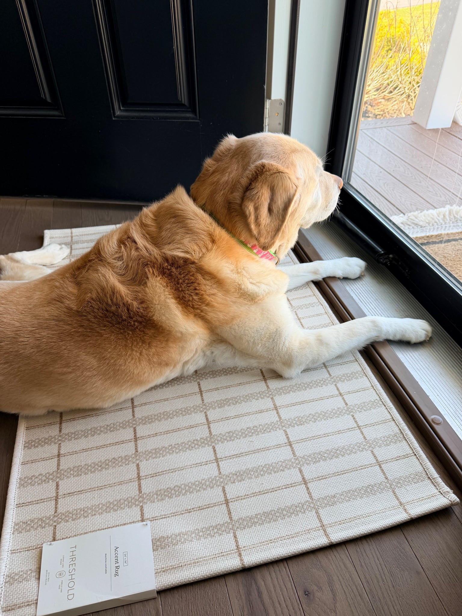 Love our new accent rug! 
Entryway details 
Entry rug 
Rug for entry way 