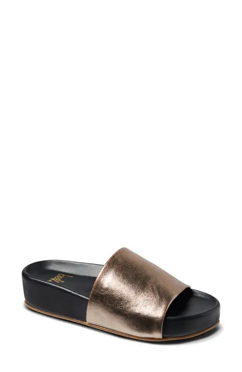 Beek Pelican Slide Sandal in Bronze /Black at Nordstrom, Size 7 | Nordstrom