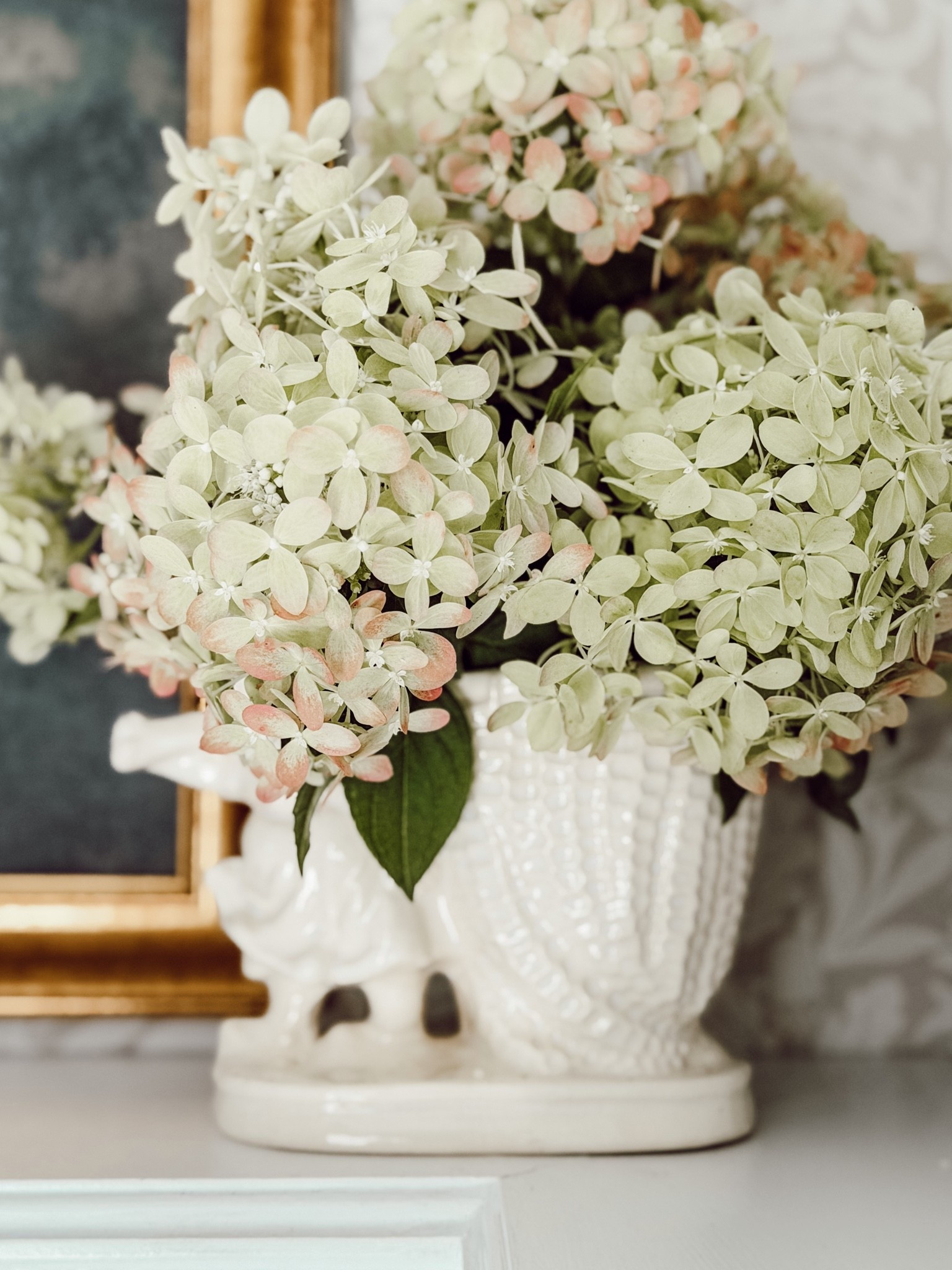 My limelight hydrangeas are showing off.

#LTKHome