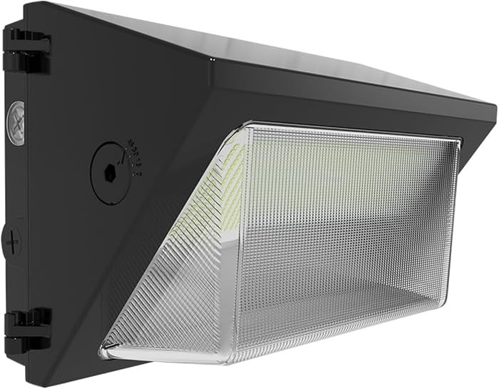 RAB W22-M-60 60W LED Wall Pack Light, 120-277V, Dusk to Dawn with Photocell, 9105LM, Power & Colo... | Amazon (US)