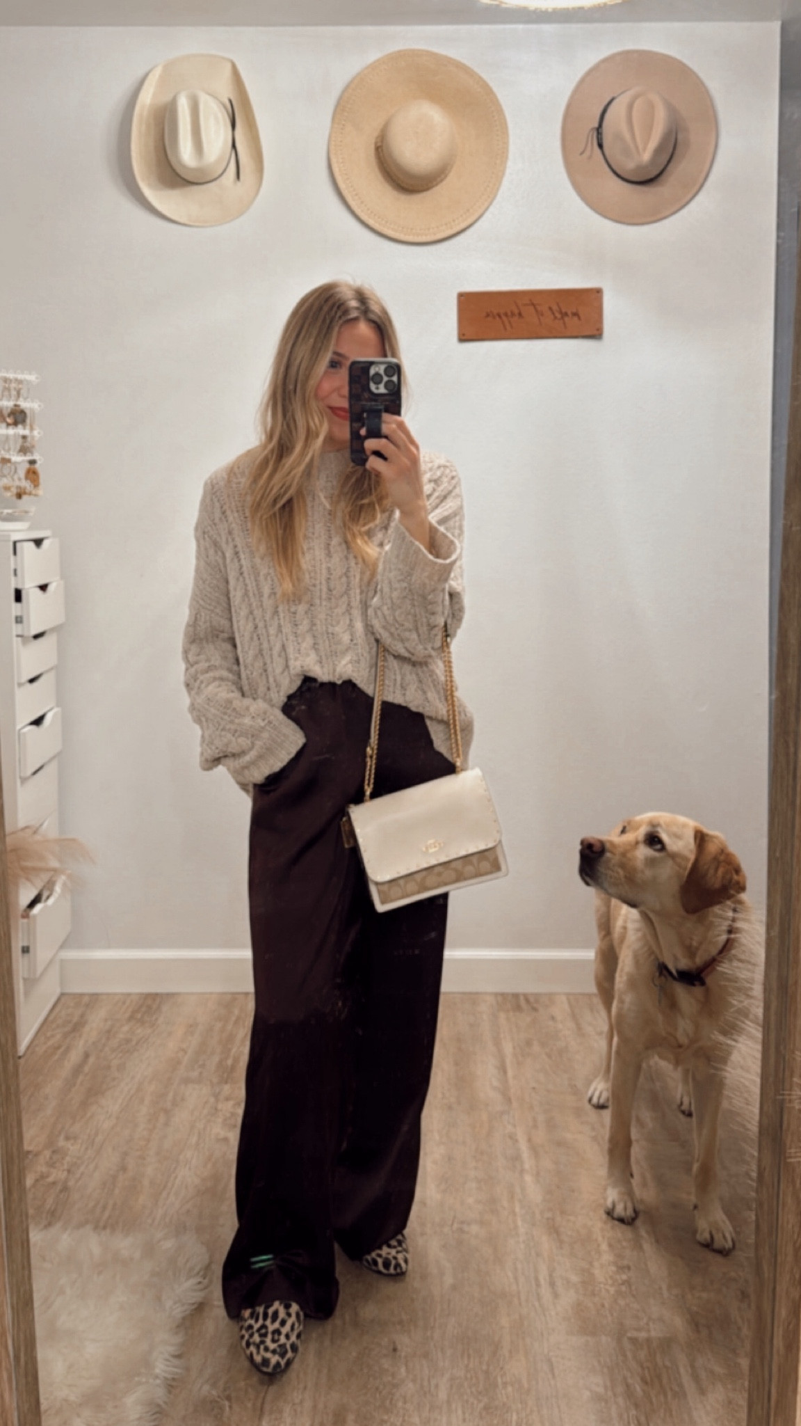 comfiest silk pants (with pockets) in a chocolate brown from target!! SO easy to dress up or down! In a small 🤎 (in store! Women's Mid-Rise Straight Leg Satin Pull-On Pants - A New Day)

old sweater from AE 
cheetah flat mules: old navy

#LTKFindsUnder50 #LTKStyleTip #LTKPetite