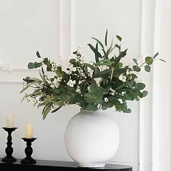 MISS PIN | Amazon (US)