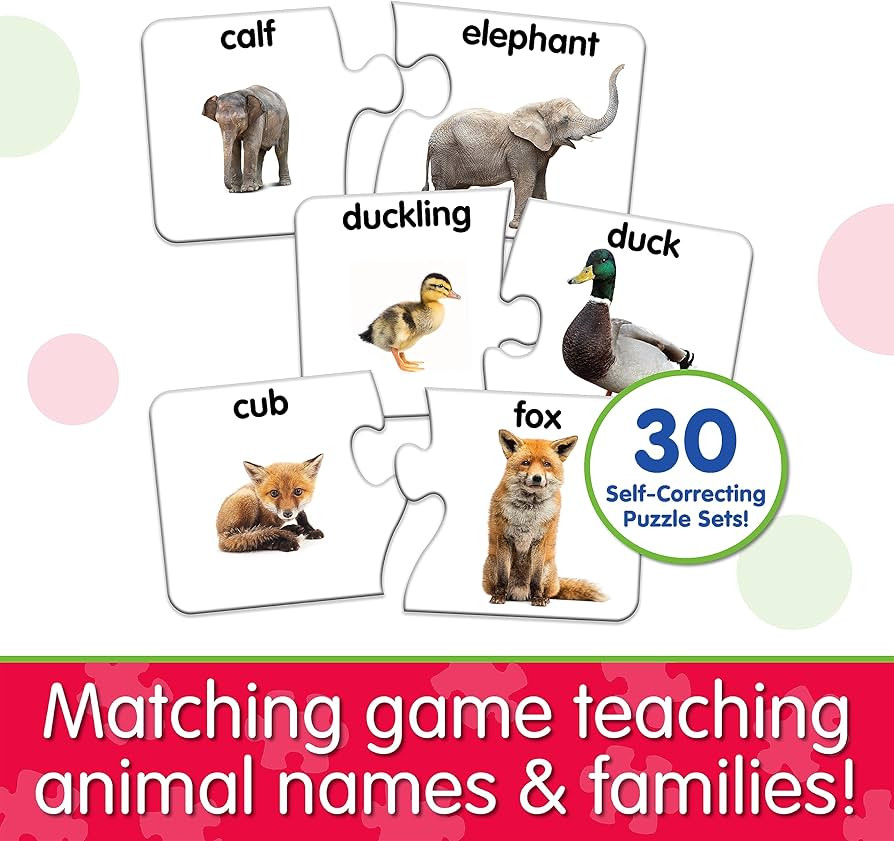 The Learning Journey: Match It! - Animal Families - Learning Animals, Animal Matching Game, Anima... | Amazon (US)