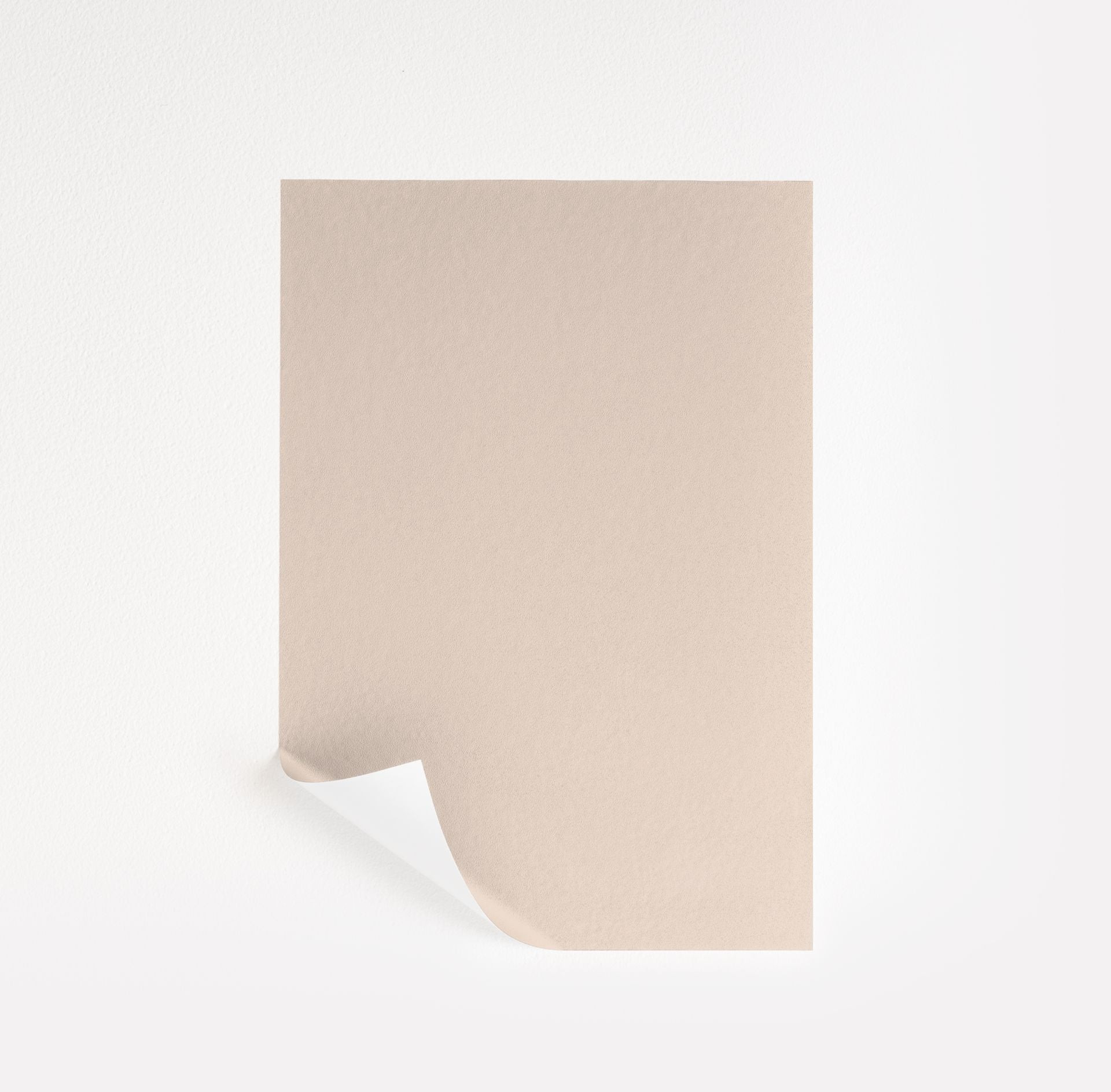Tissue Pink Paint Sample by Benjamin Moore (1163) | Peel & Stick Paint Sample | Samplize
