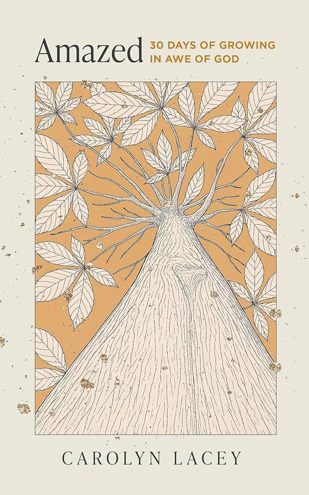 Amazed: 30 Days of Growing in Awe of God (Month-long devotional on awe for women to encourage wor... | Amazon (US)