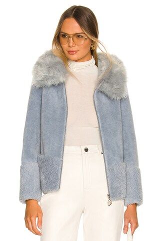 Bubish Maya Teddy Jacket in Pale Blue from Revolve.com | Revolve Clothing (Global)