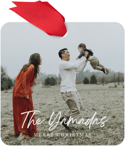 Modern Signature Metal Ornament | Shutterfly