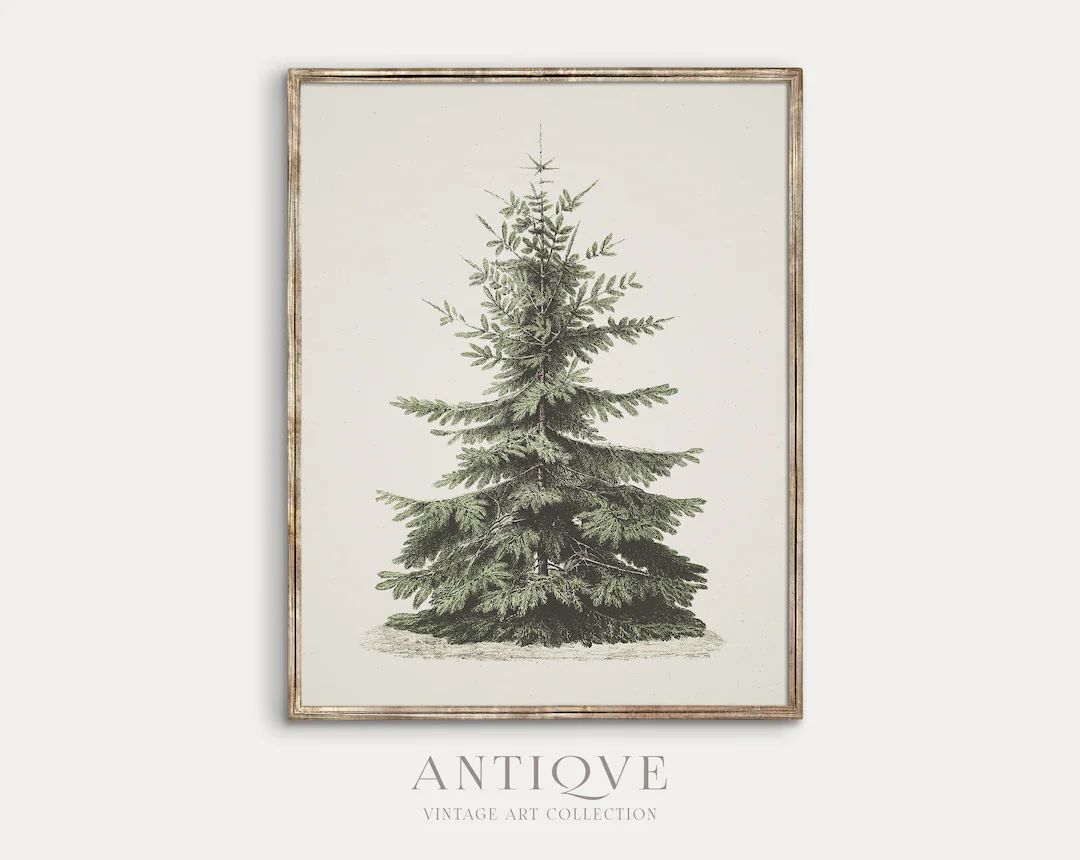 Vintage Fir Botanical Sketch Printable Christmas Tree Pine - Etsy | Etsy (US)